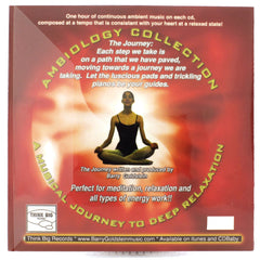 Ambiology 3: The Journey CD