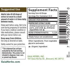 Echinacea Supreme A/F