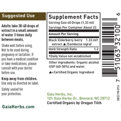 Black Elderberry