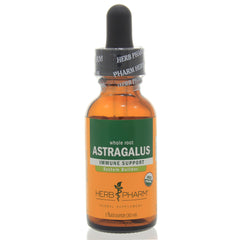 Astragalus
