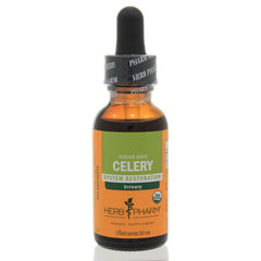 Celery