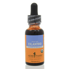 Cilantro