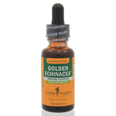 Golden Echinacea Glycerite
