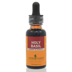 Holy Basil (Tulsi)