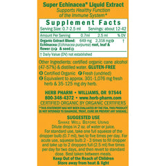 Super Echinacea