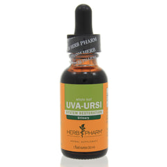 Uva-Ursi