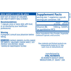 Vitamin B6 100mg