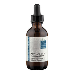 Althaea officinalis - marshmallow