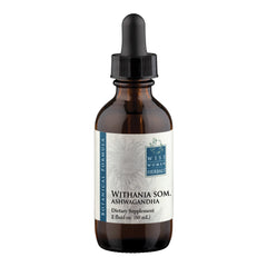 Withania somnifera - ashwagandha
