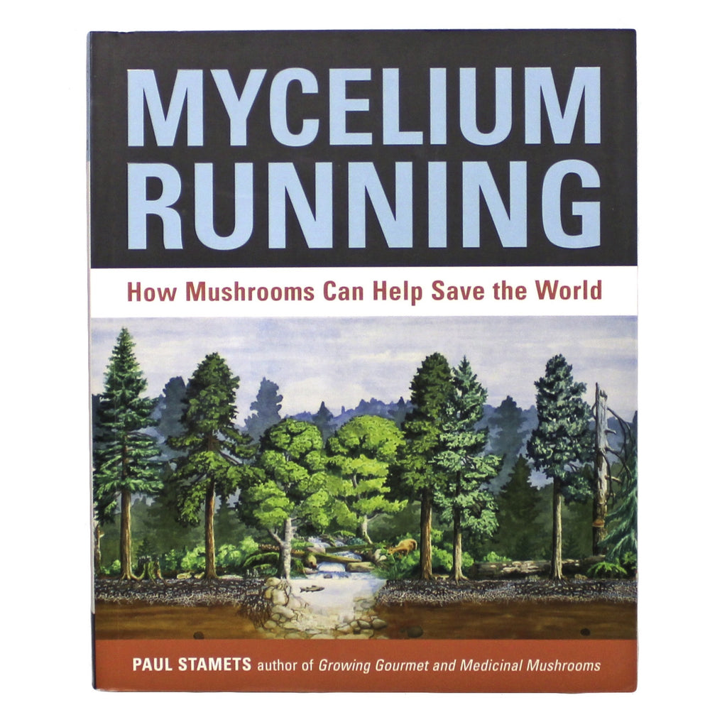 Mycelium Running Book