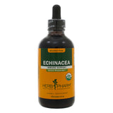 Echinacea Glycerite