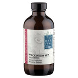 Vaccinium spp. - blueberry, bilberry